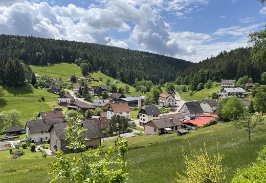 22-05-29 12-19-53 0959